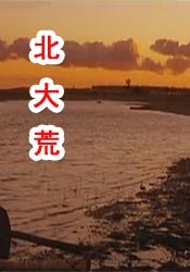 久草在线播放视频