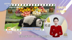 国产破处在线观看